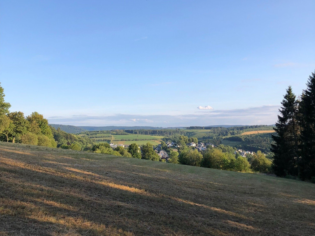 Design Hotel Sauerland主图