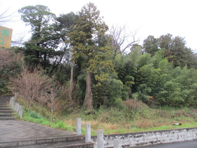 Aigoyama Park-出云市必去景点