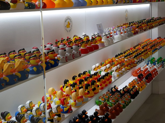 Mallorca Duck Store-马洛卡帕尔马必去景点