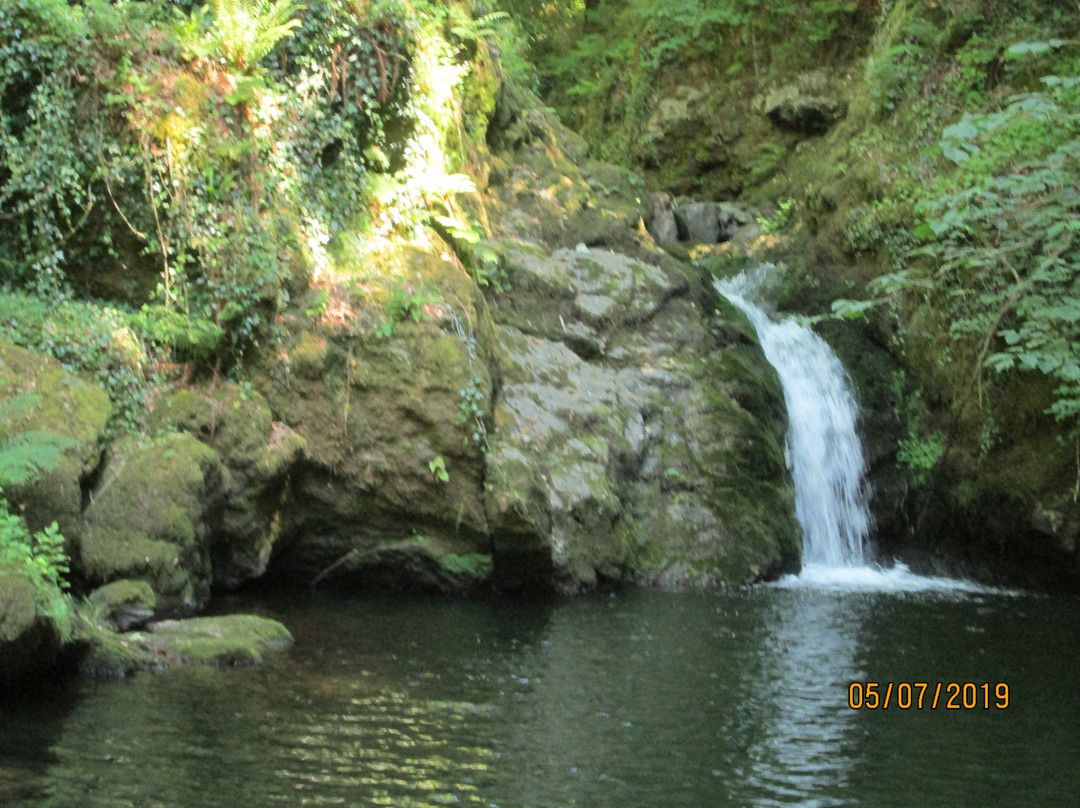 Plas Cadnant Hidden Gardens景点图片