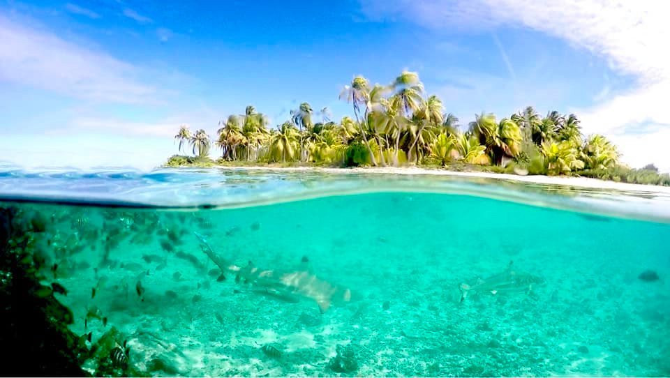 Relais Royal Tikehau主图