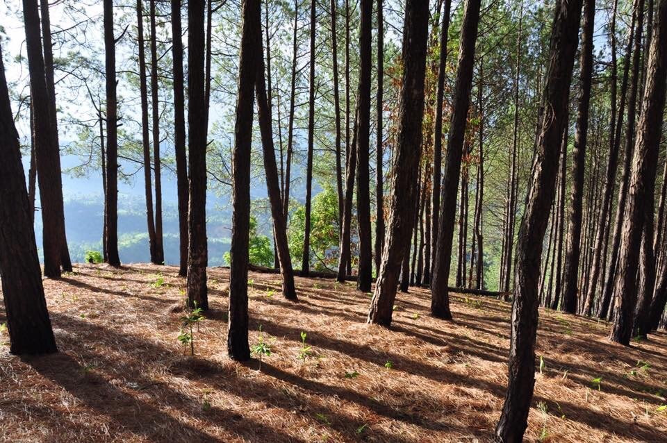 City View Home Stay主图