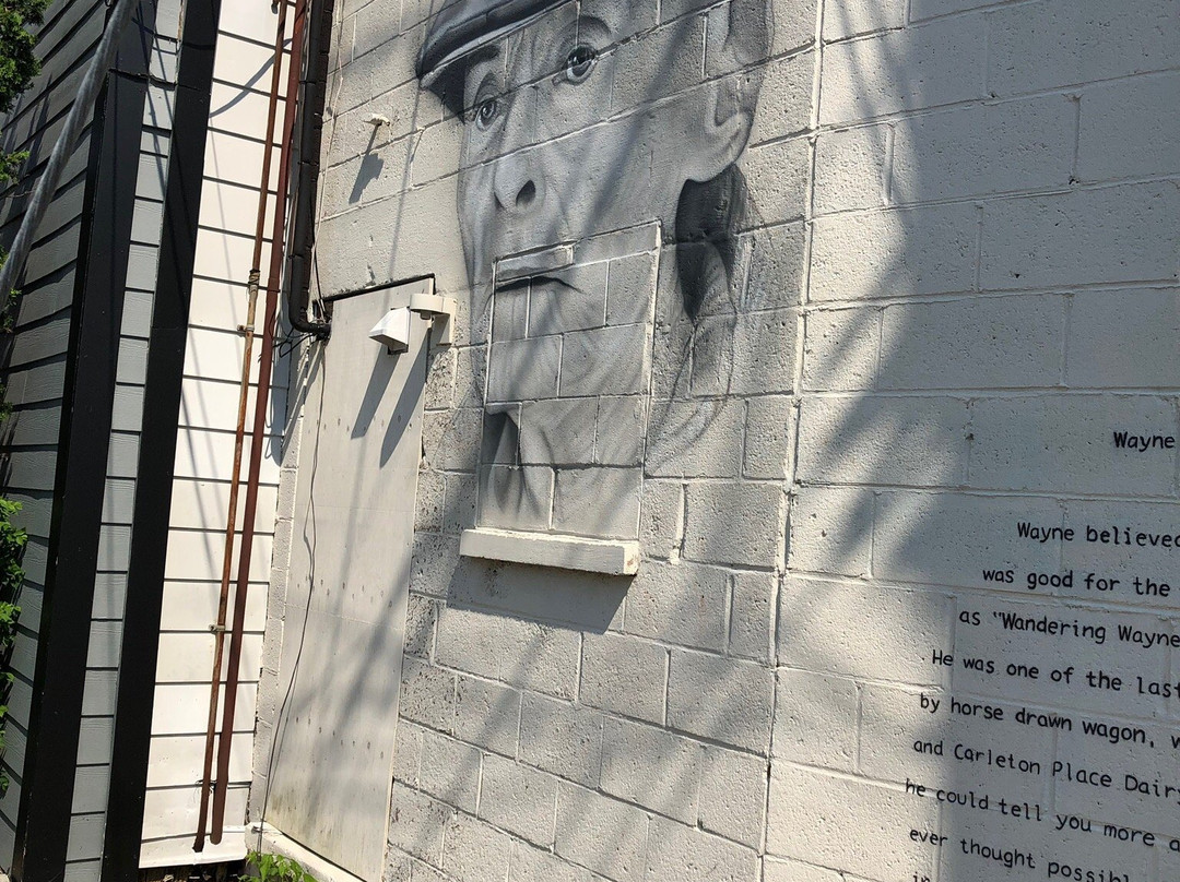 Downtown Murals-Carleton Place必去景点