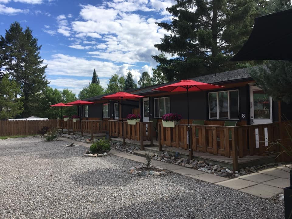 The Piccadilly主图