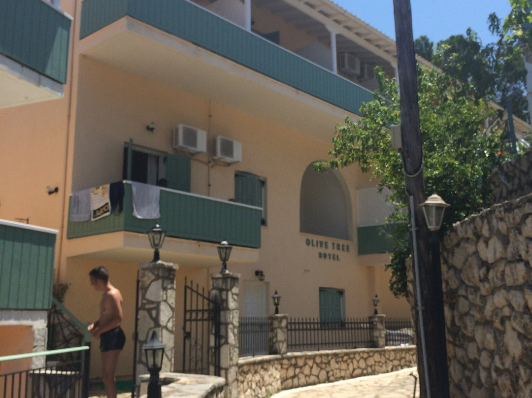 Olive Tree Hotel主图