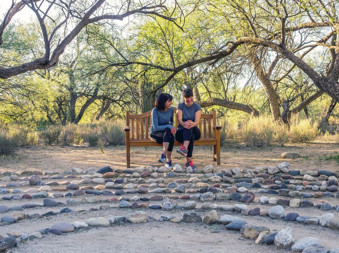 Canyon Ranch Wellness Resort Tucson主图