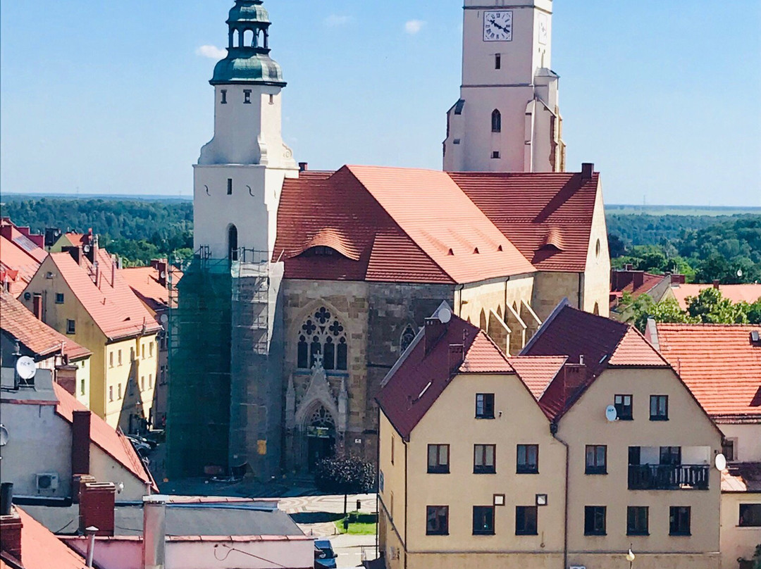 Koscioł Narodzenia Najswietszej Maryi Panny景点图片