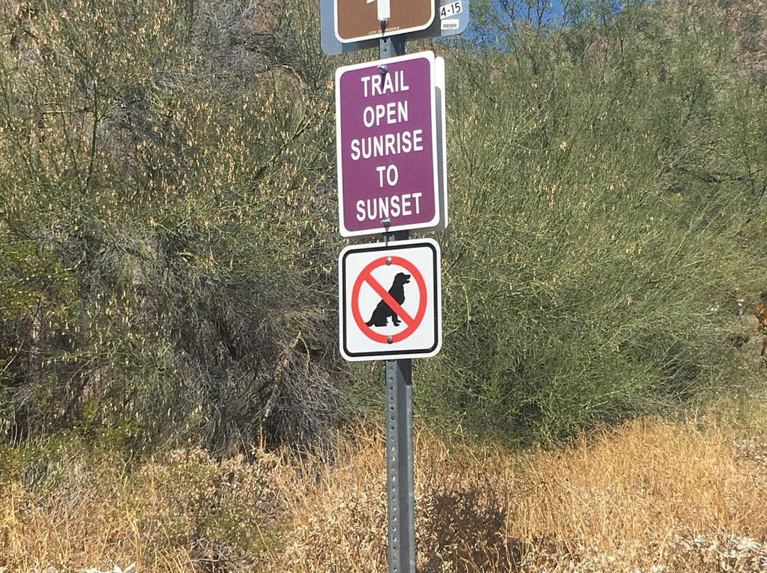 Cholla Trail-凤凰城必去景点