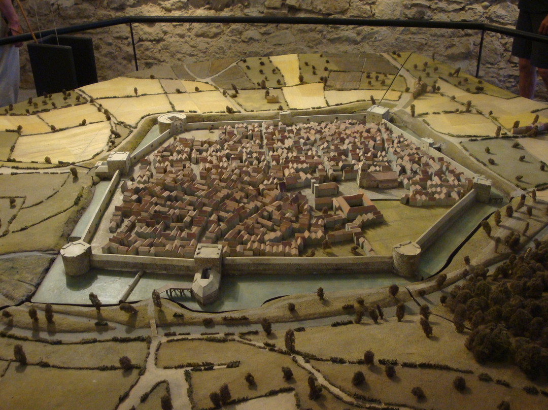Musee de la Tour Prisonniere景点图片