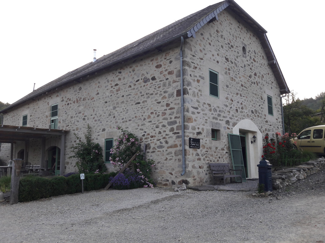 Les 5 Petits Lapins主图