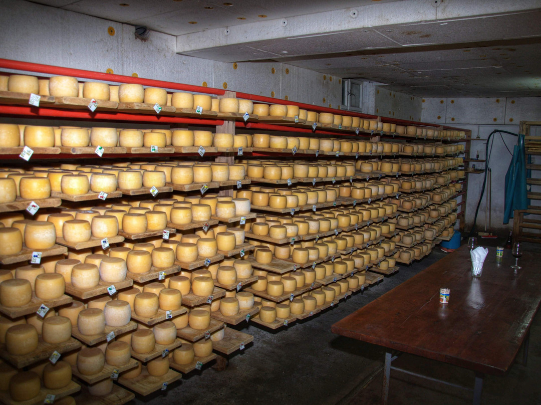 Selyshche Cheese Factory-Nyzhnje Selyshche必去景点