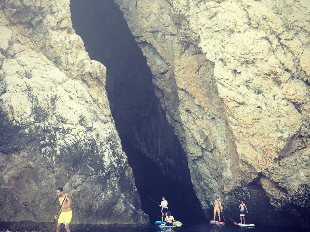Stand Up Paddle Vis景点图片
