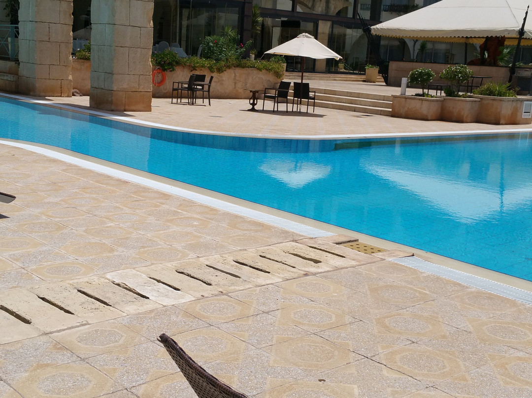 突尼斯金色郁金香迦太基酒店主图