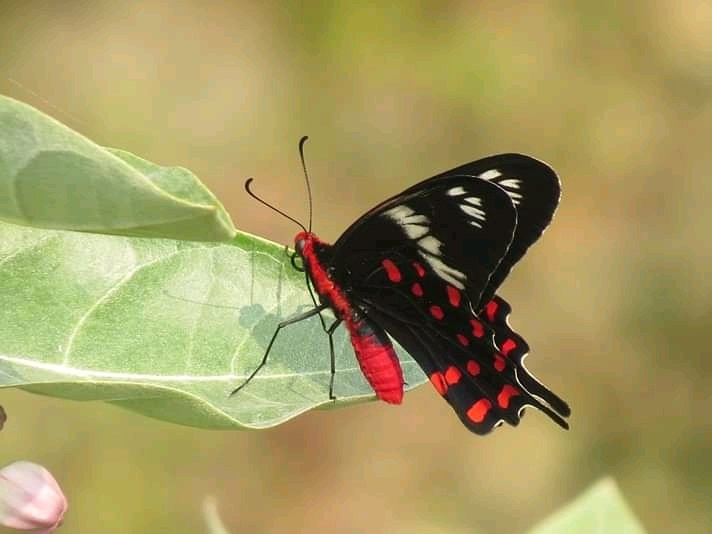 Sundarban Tour And Travels-Gosaba必去景点