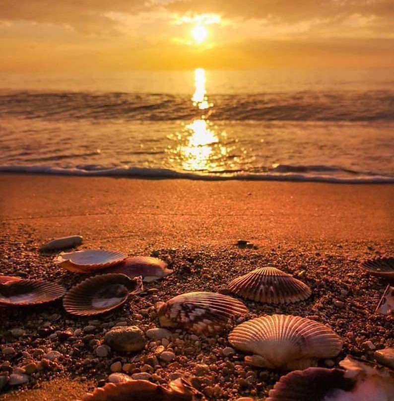 Sandu Tours-Waskaduwa必去景点