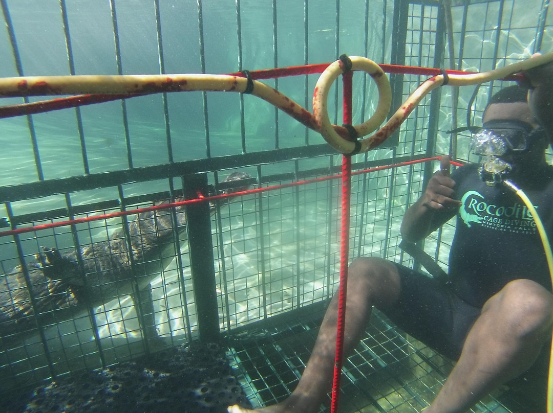 BUSH WILDERNESS SAFARIS-李文斯顿必去景点