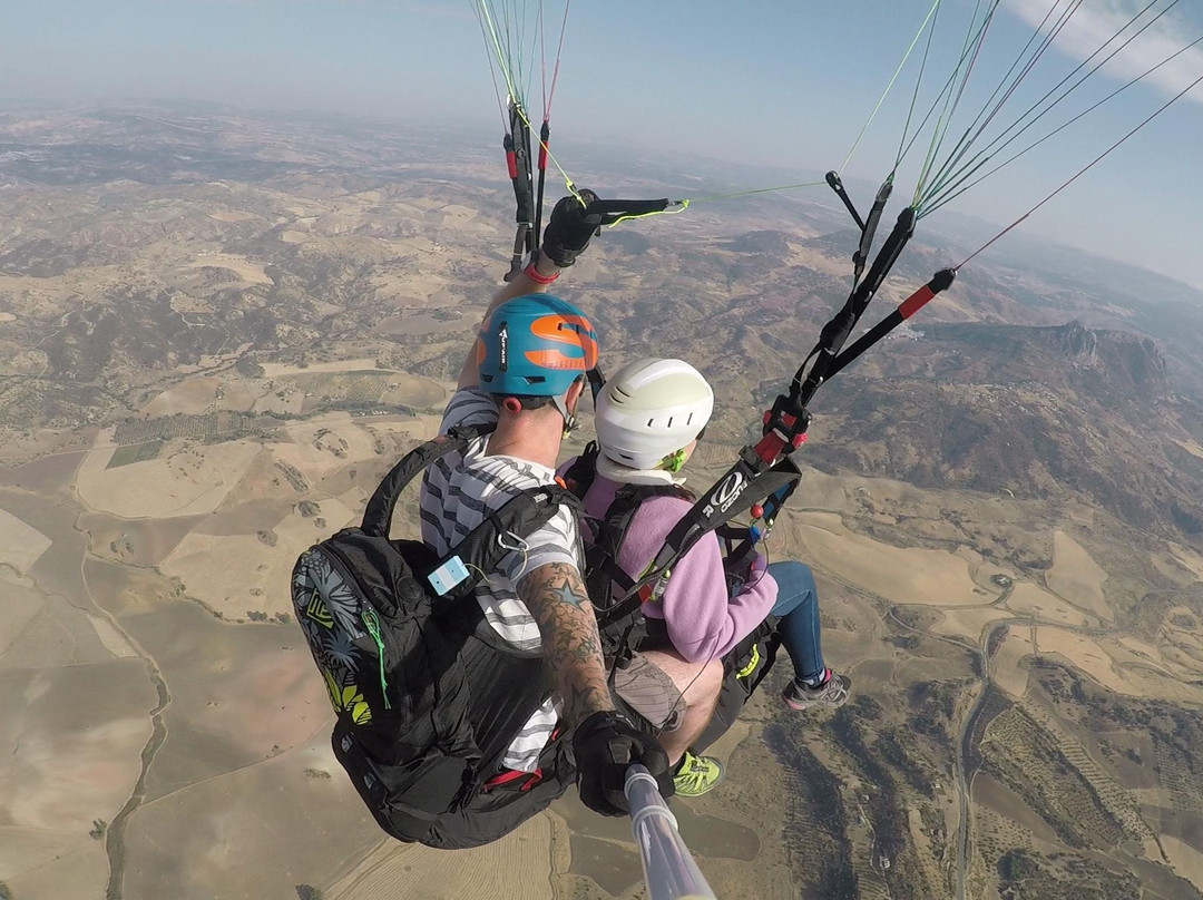 Mile High Paragliding-刘易斯必去景点