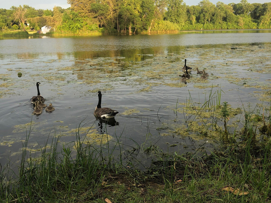 Lake of the Isles-明尼阿波利斯必去景点