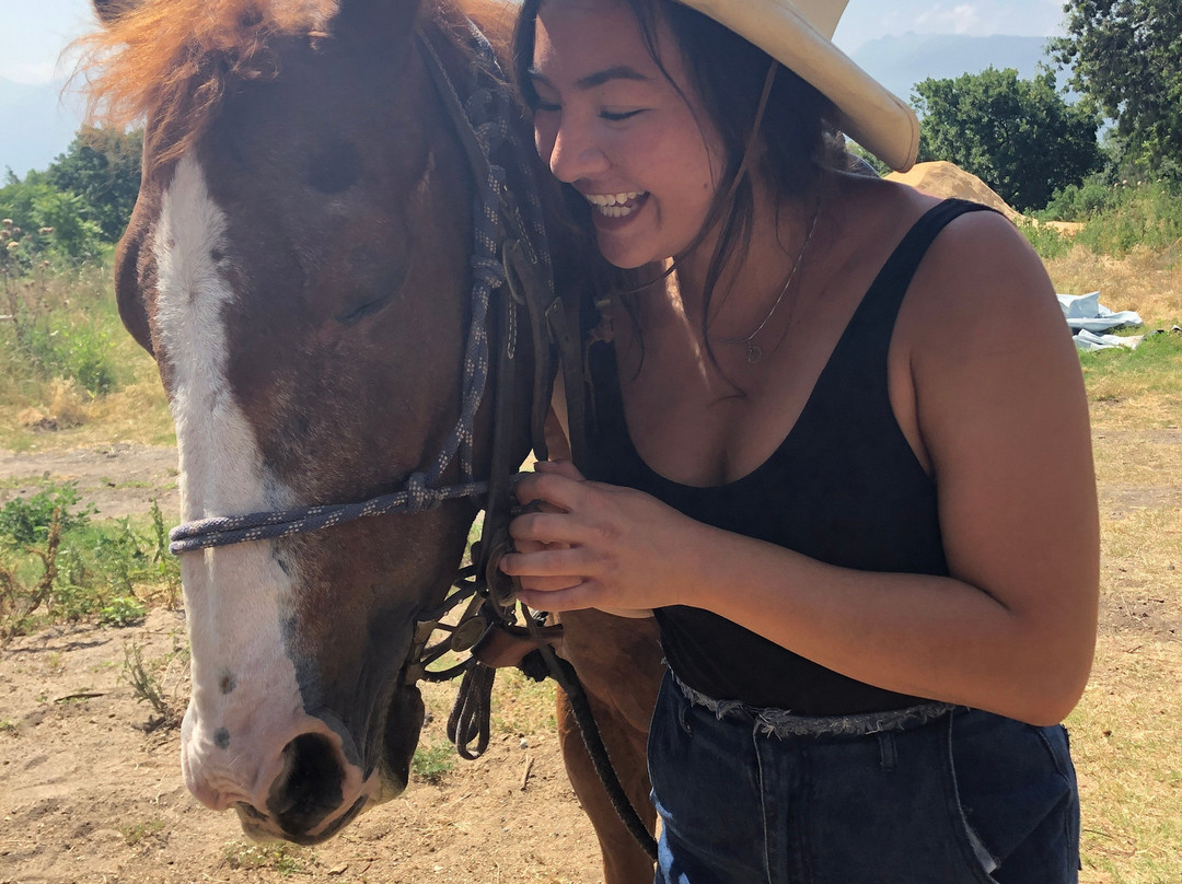 Horse Riding Tour景点图片