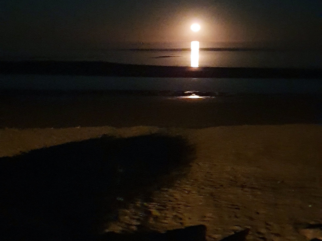 Town Beach-埃克斯茅斯必去景点