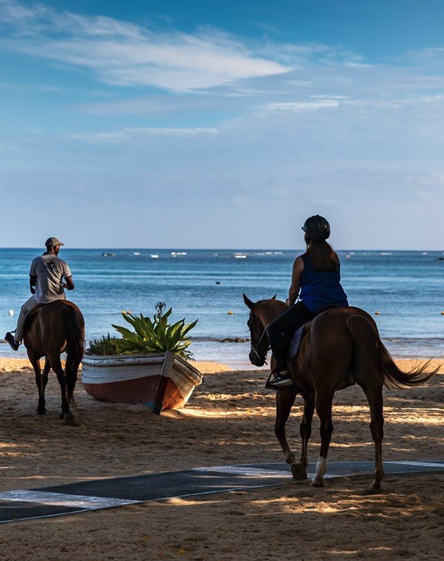 Maritim Equestrian Centre-巴拉克拉瓦必去景点