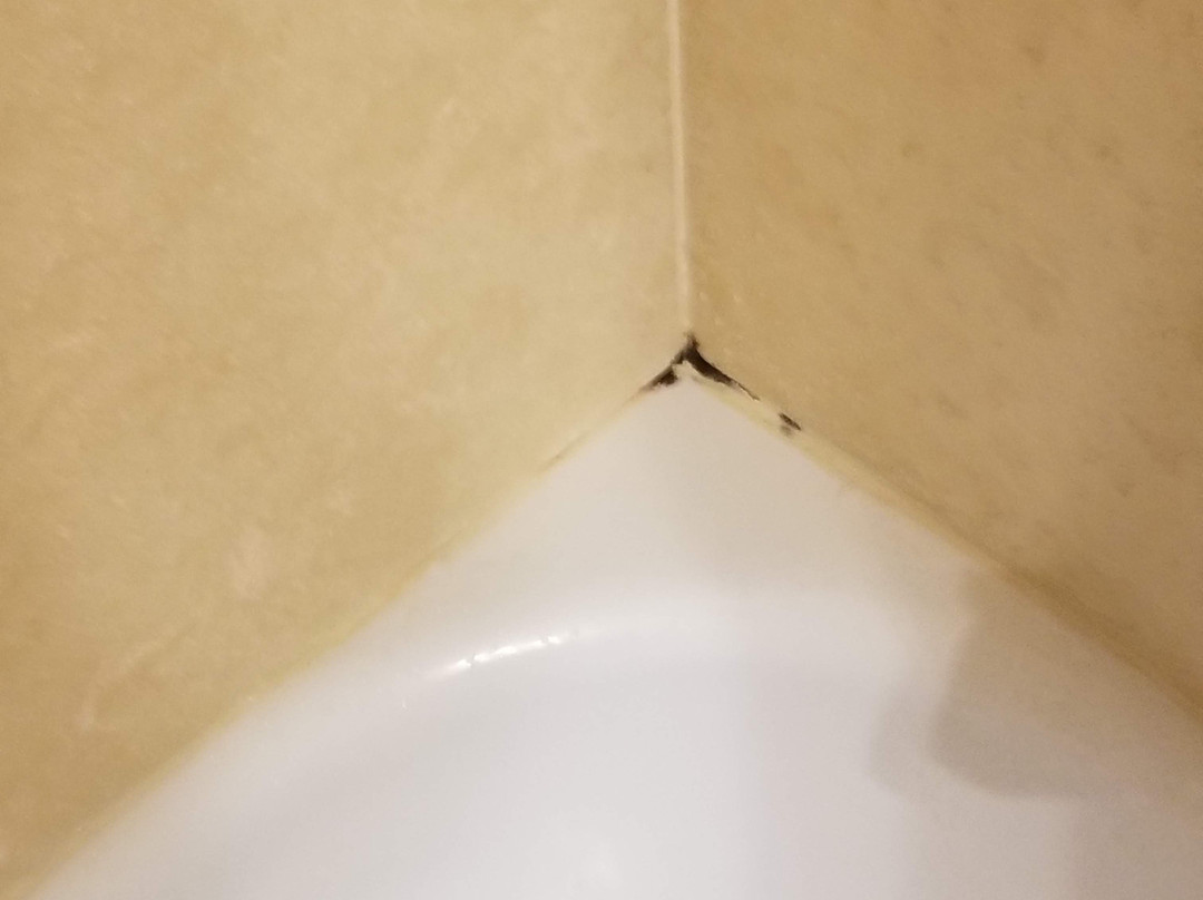 Ramada by Wyndham Topeka Downtown Hotel & Convention Center主图