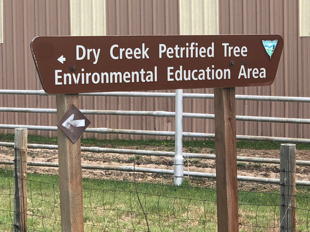 Dry Creek Petrified Forest景点图片