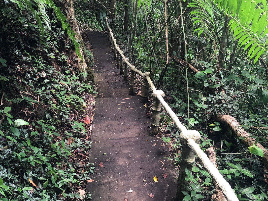 Malabsay Falls-纳加必去景点