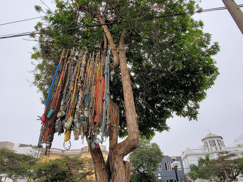 Dedalo arte & artesanía-利马必去景点