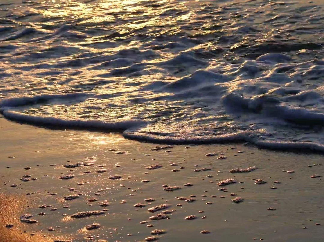Pobierowo Beach-Pobierowo必去景点