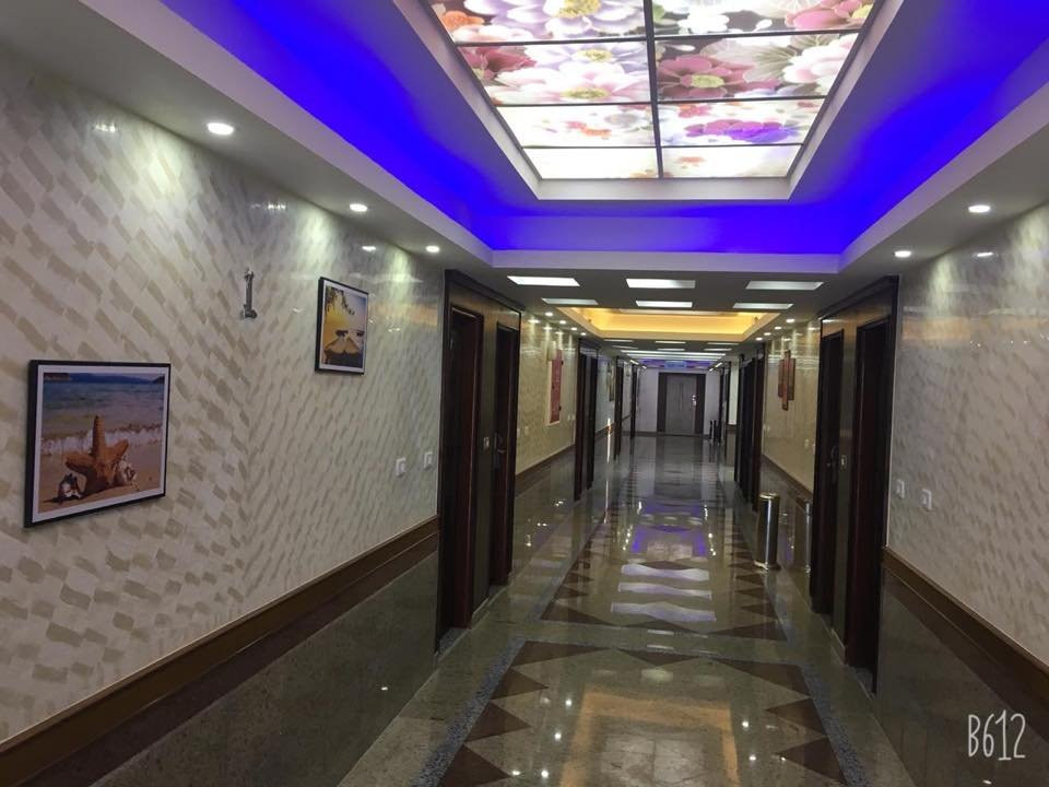 Dolphin Ras EL Bar主图