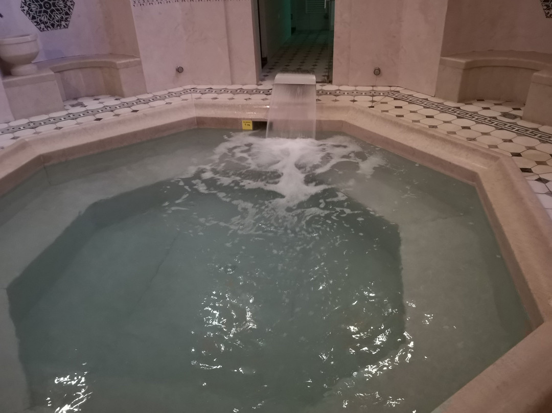 Isa Begov Hamam Hotel主图