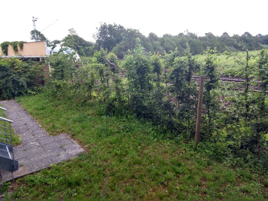 Amedia Frankfurt Ruesselsheim主图