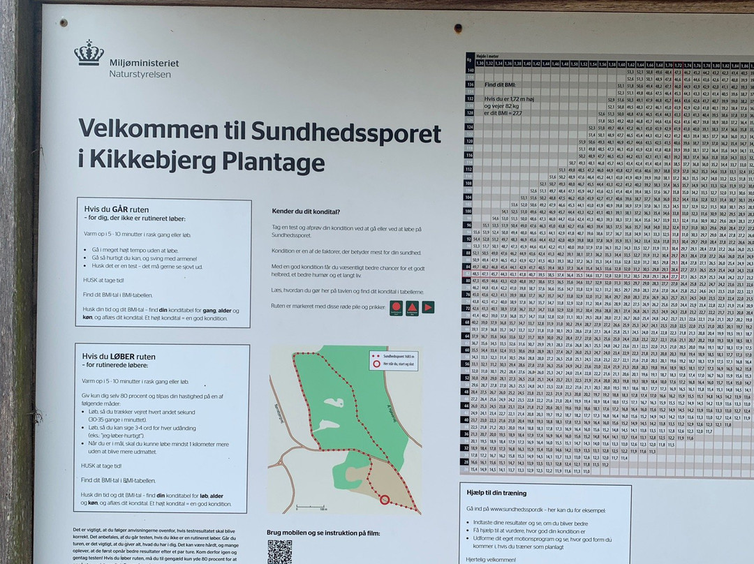 Kikkebjerg Plantage景点图片