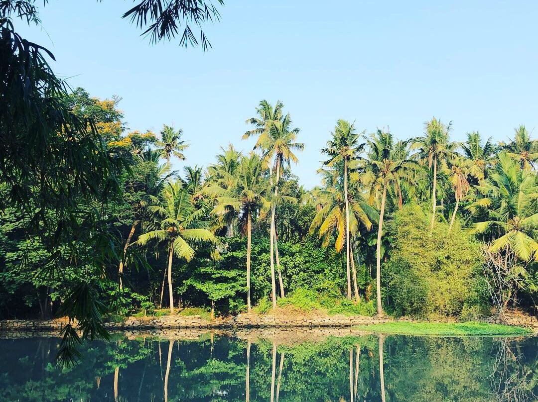 Mitra Hermitage Ayurvedic- Day Packages-提卢湾安塔普兰（特里凡德伦）必去景点