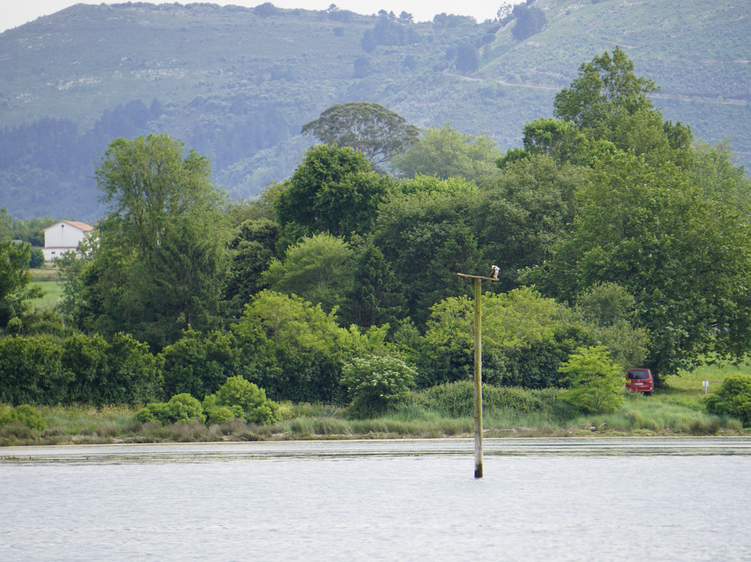 Bahía de Santander Ecoturismo-Camargo必去景点