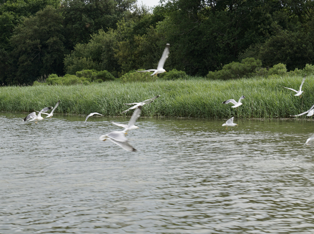 Bahía de Santander Ecoturismo-Camargo必去景点