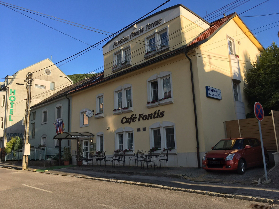 Nova Dubnica酒店住宿-Penzion Fontis Terrae