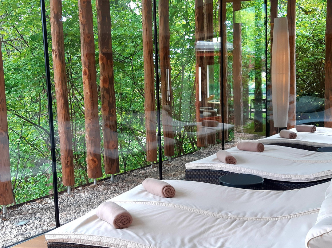 Hotel Der Waldhof主图