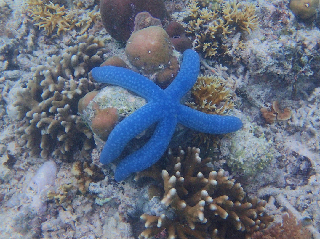 玛哈玛雅度假酒店主图