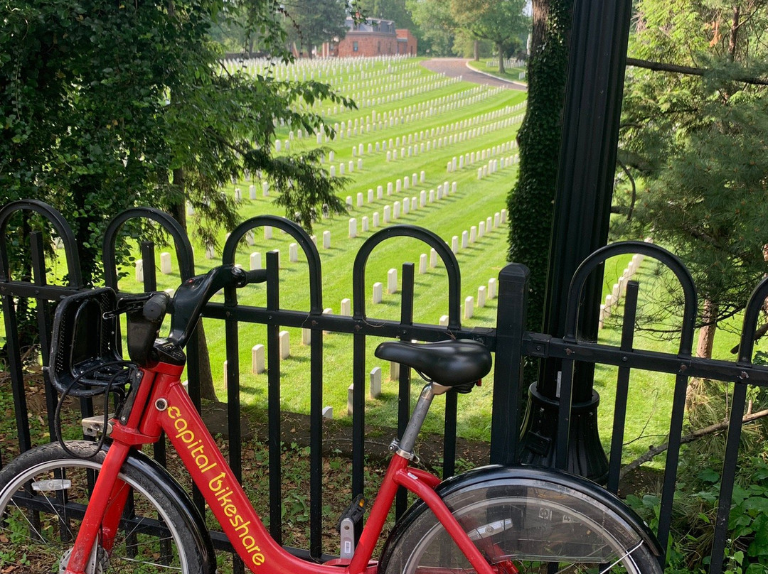 Alexandria National Cemetery-亚历山德里亚必去景点