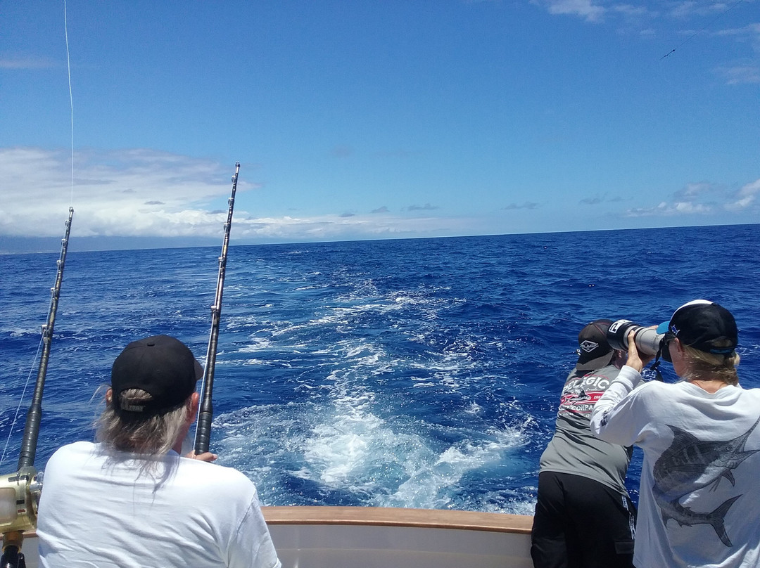 Marlin Magic Sport Fishing-凯鲁瓦-柯纳必去景点