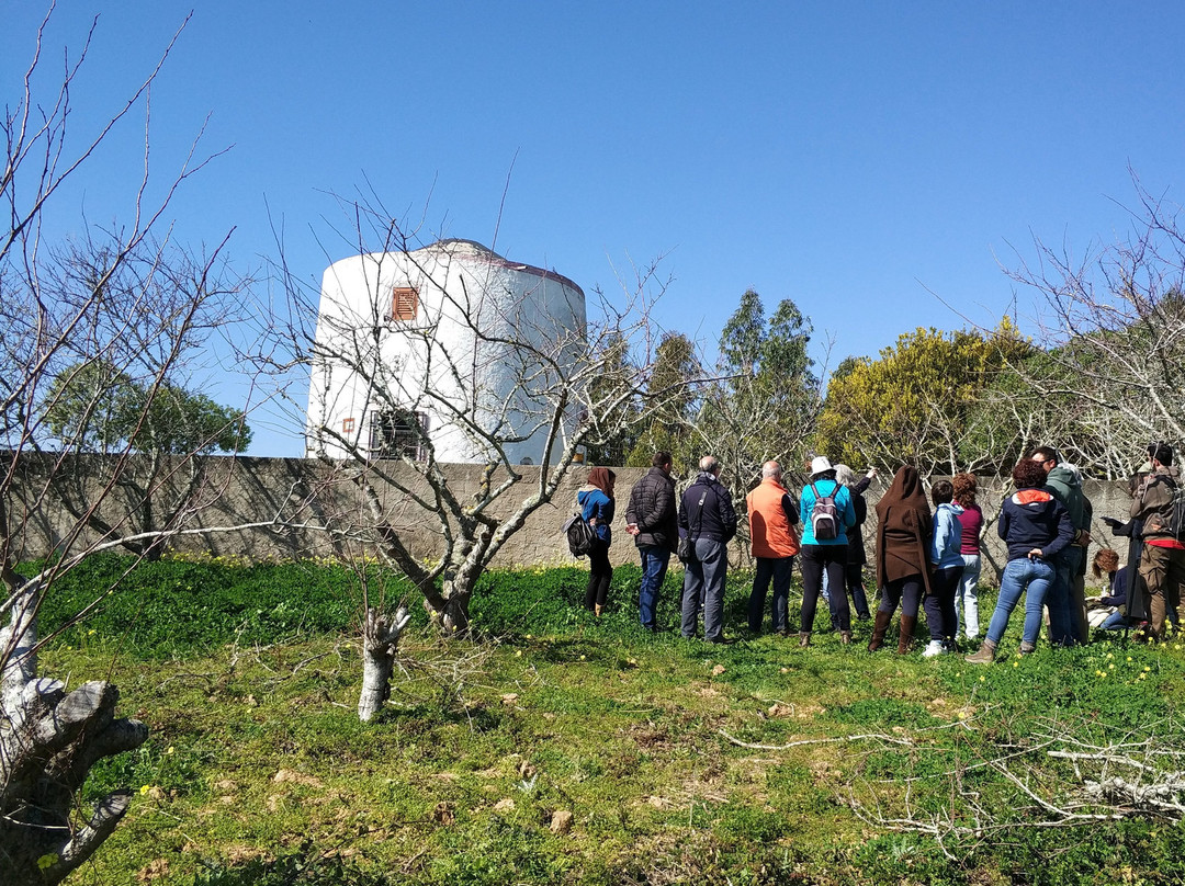 Quinta Pedagogica da Caria景点图片