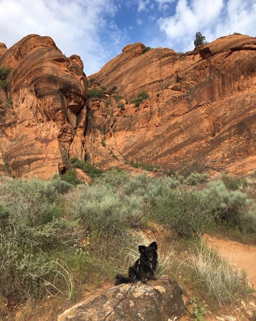 Red Reef Trail-Leeds必去景点