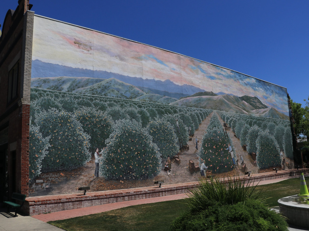 Exeter Murals-Exeter必去景点