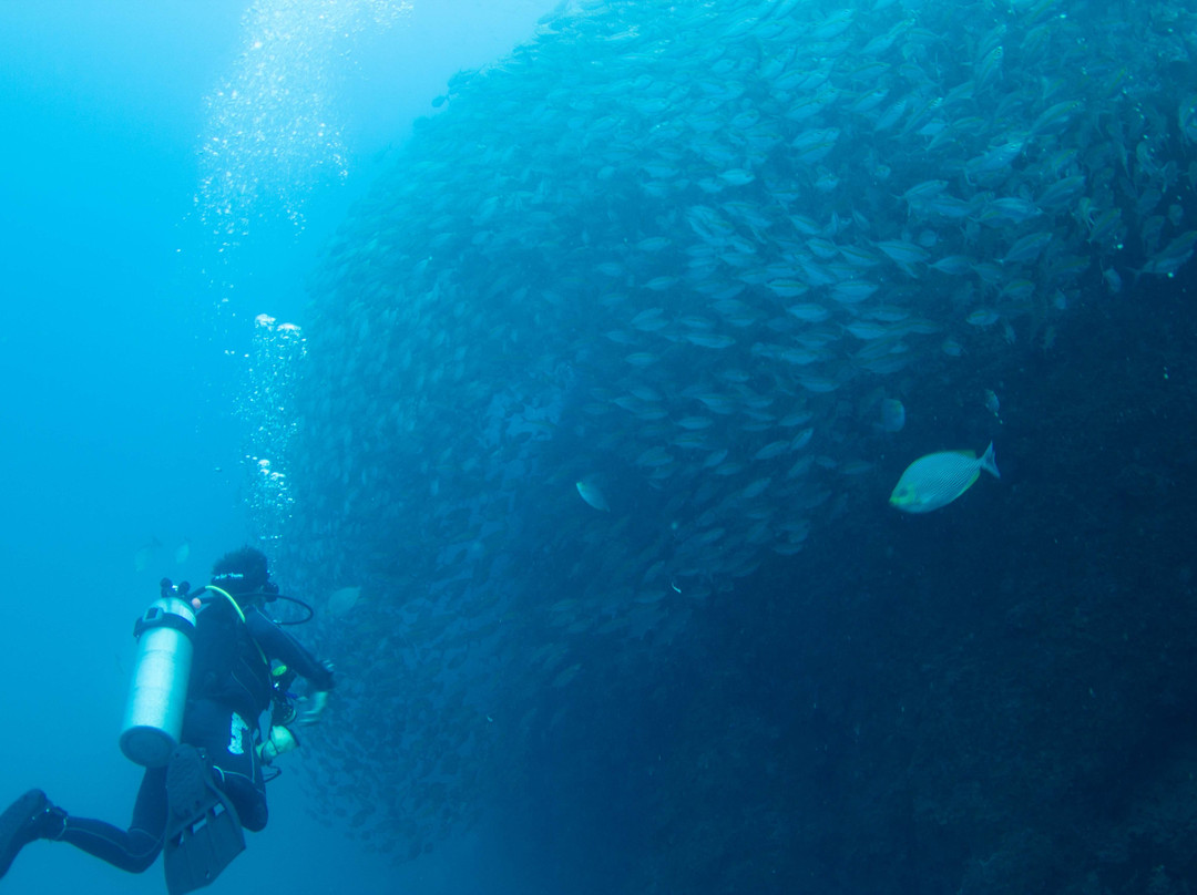 Sail Rock Divers Resort景点图片