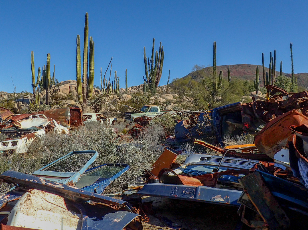 Desert Inn San Ignacio主图