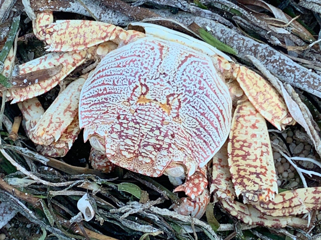 Batu Payung Beach-马塔兰必去景点