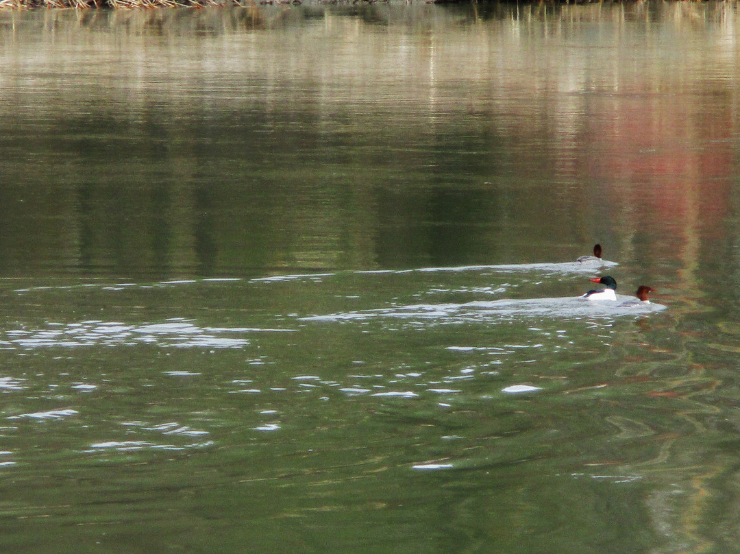 Quechee State Park-哈特福德必去景点
