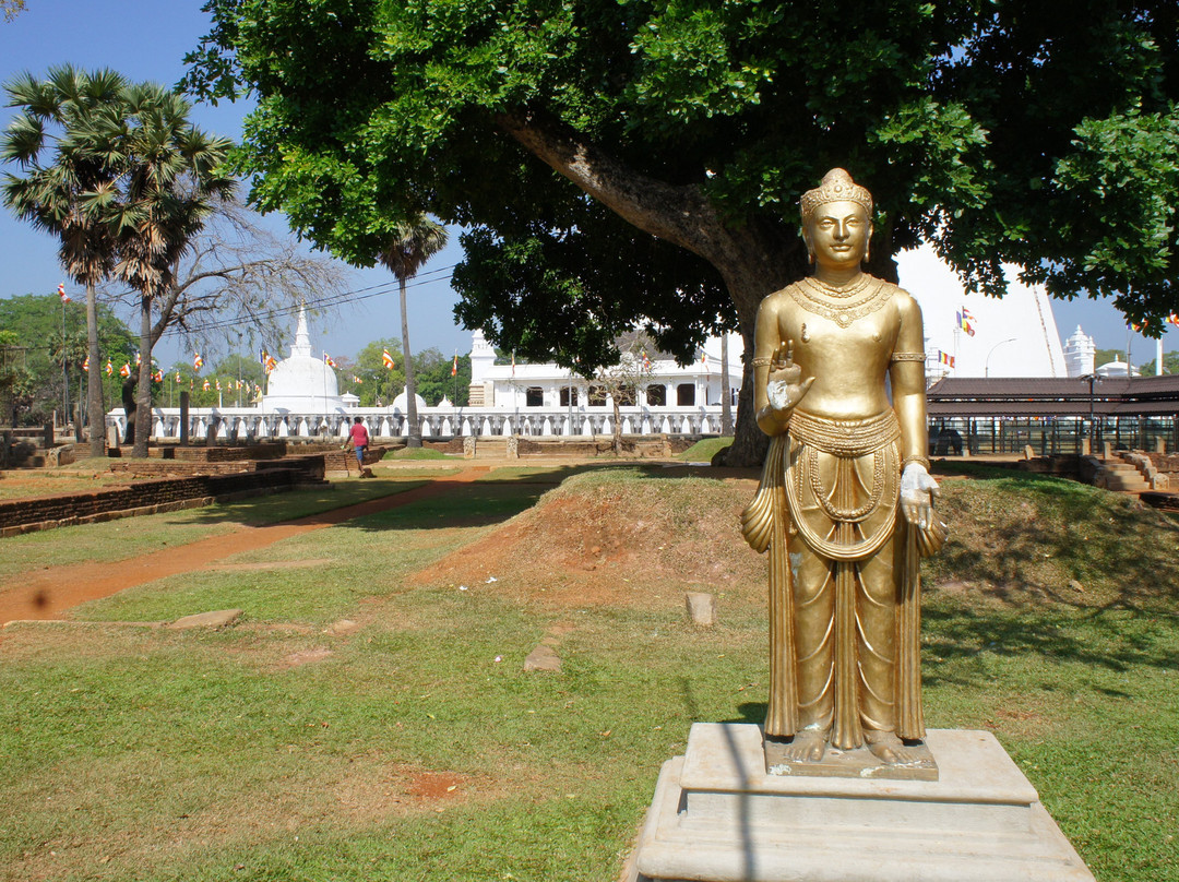 提沙维瓦保护区酒店主图